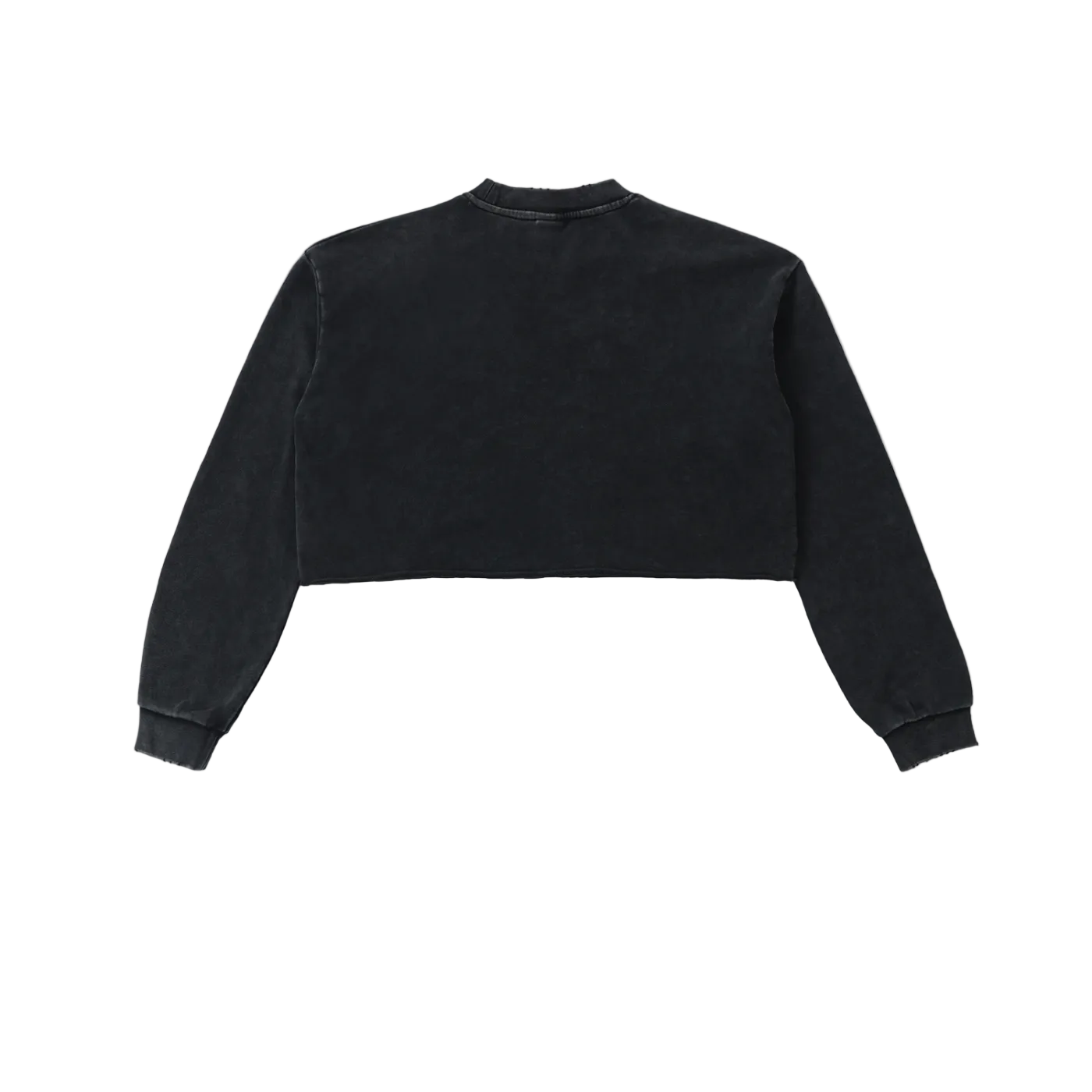 Snow Washed Graphic Raw Edge Cropped Sweatshirt